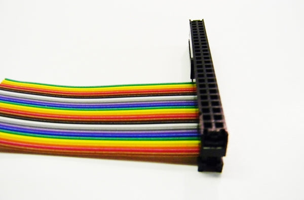 Datcom Realm 50 pin female header connector
