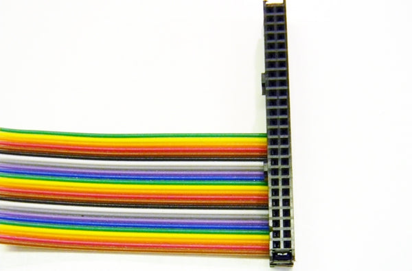 Datcom Realm 50 pin female keyed header connector