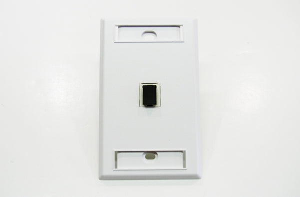 Ortronics TechChoice ‚ÄúSC‚Äù connector fog white keystone module