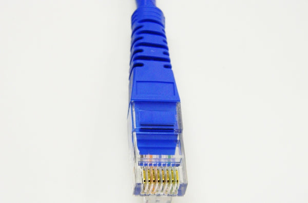 Datcom Realm Ethernet Cat5e blue patch cable x 100 feet