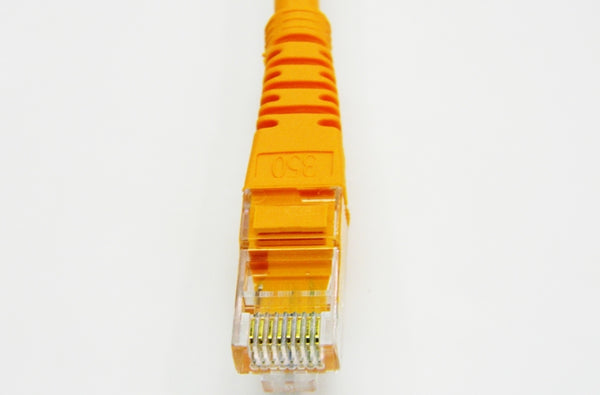 Datcom Realm Ethernet Cat5e orange patch cable x 1 foot