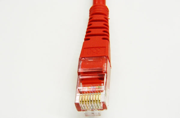 Datcom Realm Ethernet Cat5e red patch cable x 50 feet