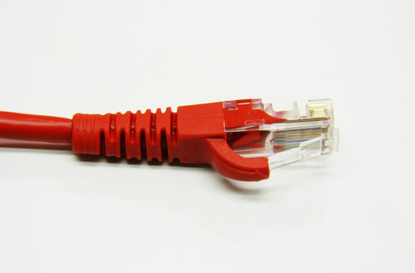 Datcom Realm Ethernet Cat5e red patch cable x 1 foot