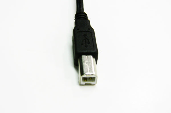 Datcom Realm USB 2.0 A to B male to male black cable x 10 feet