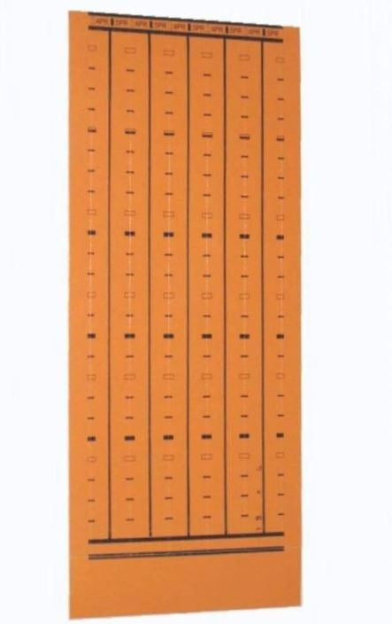 Datcom Realm Orange BIX Label